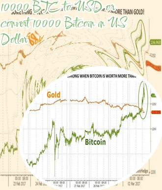 10000 bitcoin worth