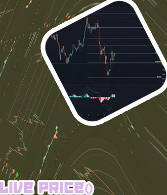 Bone price crypto