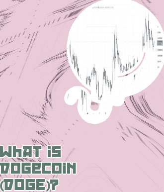 What is the price on dogecoin